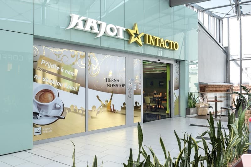 KAJOT INTACTO